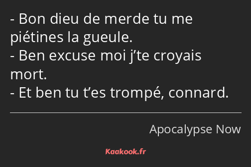 Bon dieu de merde tu me piétines la gueule. Ben excuse moi j’te croyais mort. Et ben tu t’es trompé…