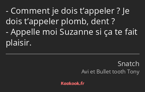 Comment je dois t’appeler ? Je dois t’appeler plomb, dent ? Appelle moi Suzanne si ça te fait…