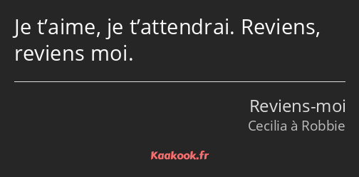 Je t’aime, je t’attendrai. Reviens, reviens moi.