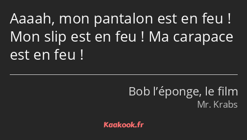 Aaaah, mon pantalon est en feu ! Mon slip est en feu ! Ma carapace est en feu !