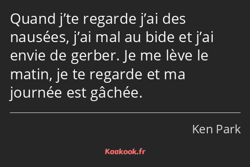 Quand j’te regarde j’ai des nausées, j’ai mal au bide et j’ai envie de gerber. Je me lève le matin…