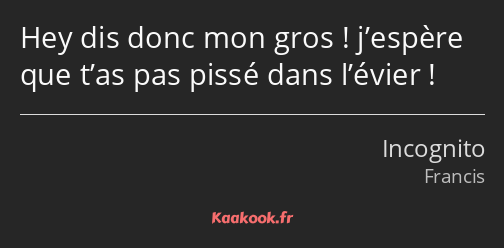 Hey dis donc mon gros ! j’espère que t’as pas pissé dans l’évier !