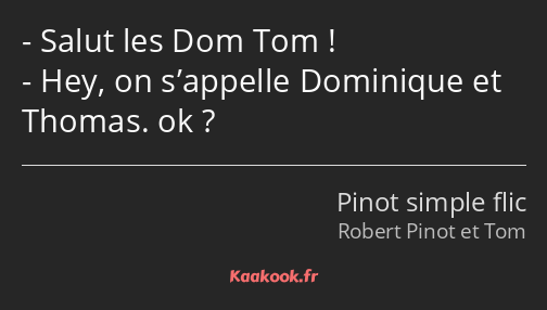 Salut les Dom Tom ! Hey, on s’appelle Dominique et Thomas. ok ?