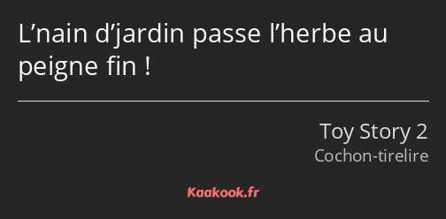 L’nain d’jardin passe l’herbe au peigne fin !