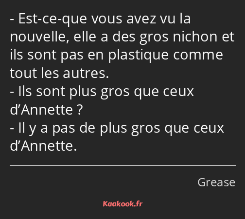 Est-ce-que vous avez vu la nouvelle, elle a des gros nichon et ils sont pas en plastique comme tout…