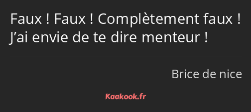 Faux ! Faux ! Complètement faux ! J’ai envie de te dire menteur !