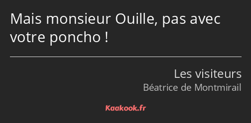 Mais monsieur Ouille, pas avec votre poncho !