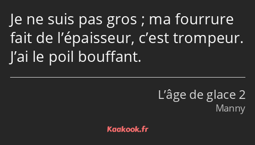 Je ne suis pas gros ; ma fourrure fait de l’épaisseur, c’est trompeur. J’ai le poil bouffant.