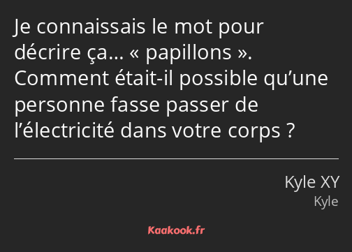 Je connaissais le mot pour décrire ça… papillons. Comment était-il possible qu’une personne fasse…