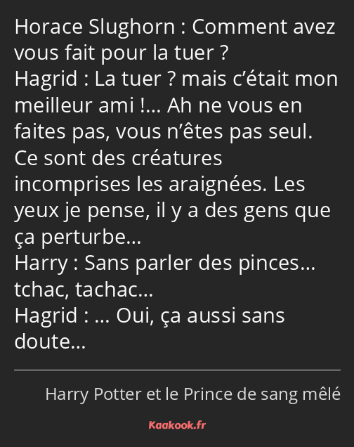 Comment avez vous fait pour la tuer ? La tuer ? mais c’était mon meilleur ami !… Ah ne vous en…