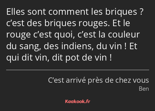 Elles sont comment les briques ? c’est des briques rouges. Et le rouge c’est quoi, c’est la couleur…