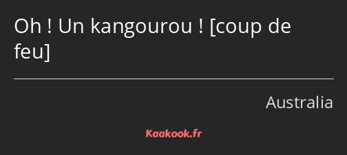 Oh ! Un kangourou ! 