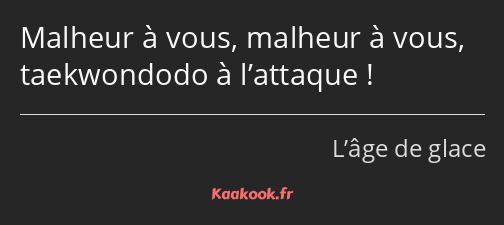 Malheur à vous, malheur à vous, taekwondodo à l’attaque !