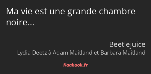 Ma vie est une grande chambre noire…