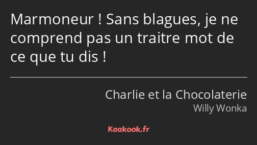 Marmoneur ! Sans blagues, je ne comprend pas un traitre mot de ce que tu dis !