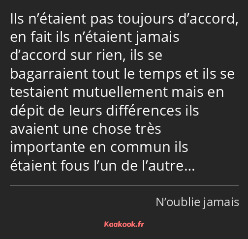 Ils n’étaient pas toujours d’accord, en fait ils n’étaient jamais d’accord sur rien, ils se…