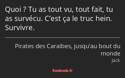 Quoi ? Tu as tout vu, tout fait, tu as survécu. C’est ça le truc hein. Survivre.