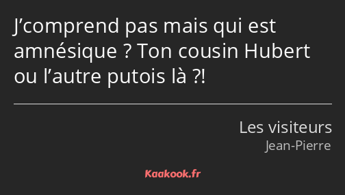 J’comprend pas mais qui est amnésique ? Ton cousin Hubert ou l’autre putois là ?!