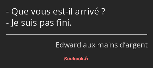 Que vous est-il arrivé ? Je suis pas fini.