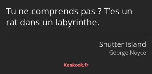 Tu ne comprends pas ? T’es un rat dans un labyrinthe.