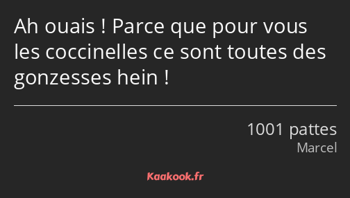 Ah ouais ! Parce que pour vous les coccinelles ce sont toutes des gonzesses hein !