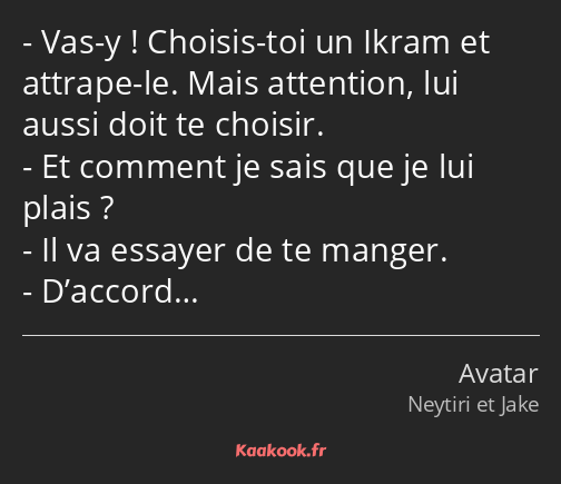 Vas-y ! Choisis-toi un Ikram et attrape-le. Mais attention, lui aussi doit te choisir. Et comment…