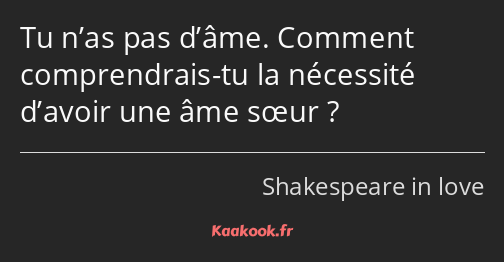 Tu n’as pas d’âme. Comment comprendrais-tu la nécessité d’avoir une âme sœur ?