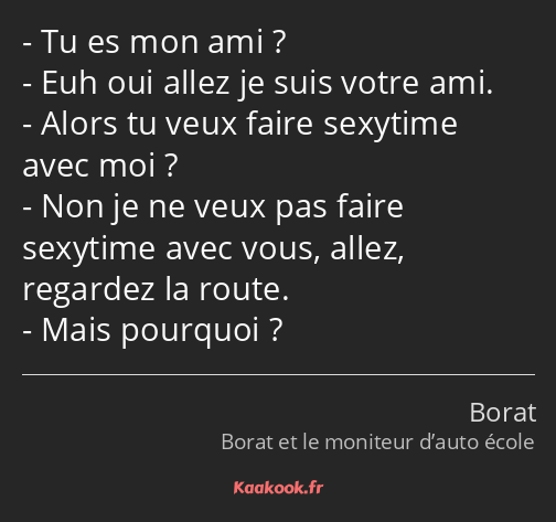 Tu es mon ami ? Euh oui allez je suis votre ami. Alors tu veux faire sexytime avec moi ? Non je ne…