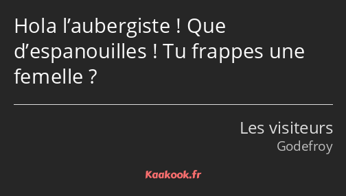 Hola l’aubergiste ! Que d’espanouilles ! Tu frappes une femelle ?