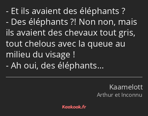 Et ils avaient des éléphants ? Des éléphants ?! Non non, mais ils avaient des chevaux tout gris…