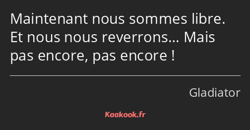 Maintenant nous sommes libre. Et nous nous reverrons… Mais pas encore, pas encore !