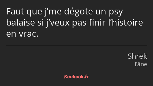 Faut que j’me dégote un psy balaise si j’veux pas finir l’histoire en vrac.