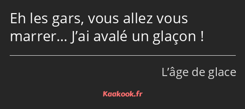 Eh les gars, vous allez vous marrer… J’ai avalé un glaçon !