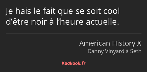 Je hais le fait que se soit cool d’être noir à l’heure actuelle.