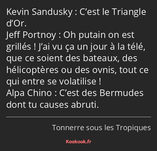 C’est le Triangle d’Or. Oh putain on est grillés ! J’ai vu ça un jour à la télé, que ce soient des…