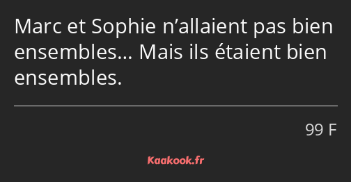 Marc et Sophie n’allaient pas bien ensembles… Mais ils étaient bien ensembles.