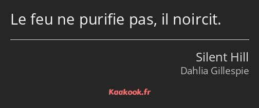 Le feu ne purifie pas, il noircit.