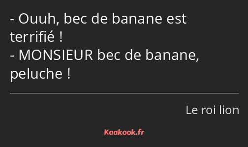 Ouuh, bec de banane est terrifié ! MONSIEUR bec de banane, peluche !