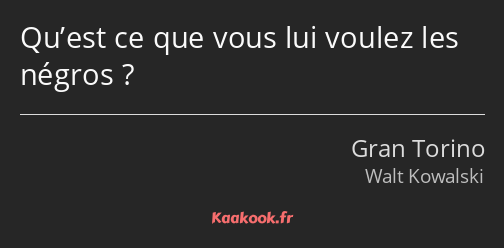 Qu’est ce que vous lui voulez les négros ?