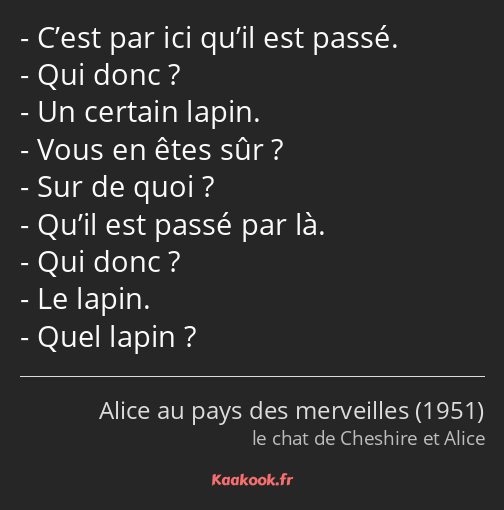 C’est par ici qu’il est passé. Qui donc ? Un certain lapin. Vous en êtes sûr ? Sur de quoi ? Qu’il…