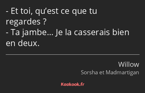 Et toi, qu’est ce que tu regardes ? Ta jambe… Je la casserais bien en deux.