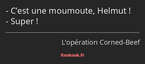 C’est une moumoute, Helmut ! Super !