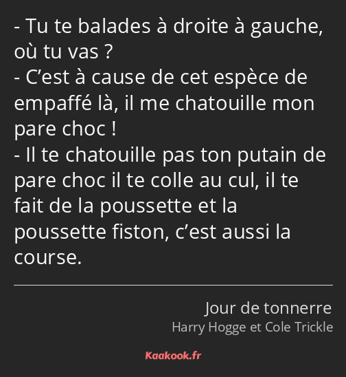 Tu te balades à droite à gauche, où tu vas ? C’est à cause de cet espèce de empaffé là, il me…