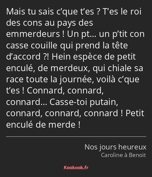 Mais tu sais c’que t’es ? T’es le roi des cons au pays des emmerdeurs ! Un pt… un p’tit con casse…