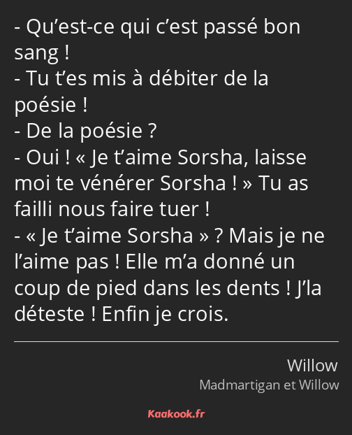 Qu’est-ce qui c’est passé bon sang ! Tu t’es mis à débiter de la poésie ! De la poésie ? Oui ! Je…