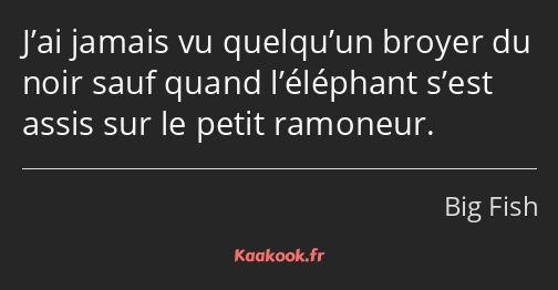 J’ai jamais vu quelqu’un broyer du noir sauf quand l’éléphant s’est assis sur le petit ramoneur.