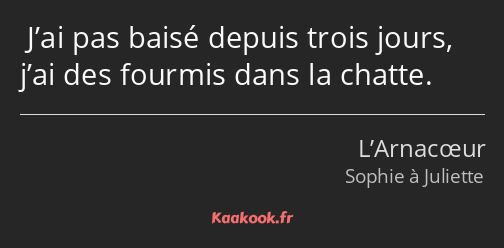  J’ai pas baisé depuis trois jours, j’ai des fourmis dans la chatte.