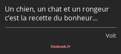 Un chien, un chat et un rongeur c’est la recette du bonheur…