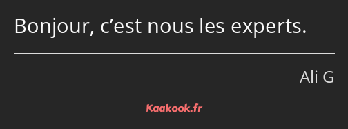 Bonjour, c’est nous les experts.