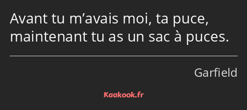 Avant tu m’avais moi, ta puce, maintenant tu as un sac à puces.